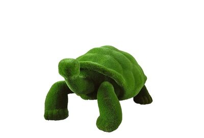 Топиари Черепаха - вид 1
